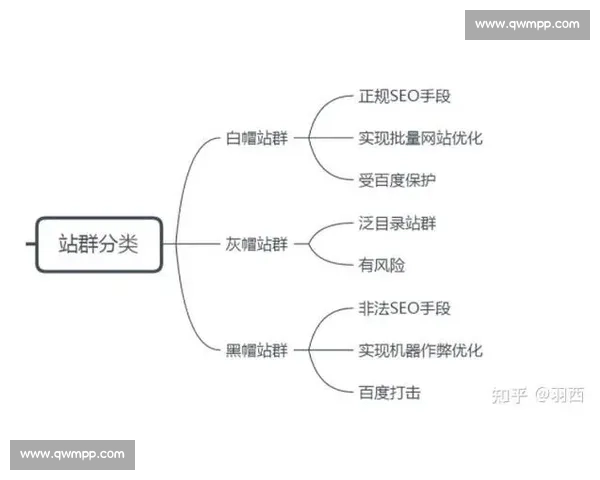 体育组织运营优化策略与管理方法创新研究探索