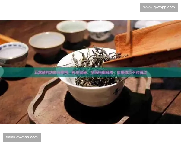 高效提升技能的训练方法与实用技巧全面指南 高效提升技能的训练方法与实用技巧全面指南